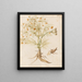 Plants diverses Pl29 - Giovanna Garzoni — framed artwork on a wall