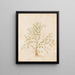 Plants diverses Pl31 - Giovanna Garzoni — framed artwork on a wall