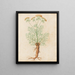 Plants diverses Pl32 - Giovanna Garzoni — framed artwork on a wall