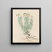 Plants diverses Pl35 - Giovanna Garzoni — framed artwork on a wall