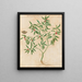 Plants various Pl38 - Giovanna Garzoni — framed artwork on a wall