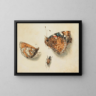 Deux papillons et un autre insecte - Giovanna Garzoni — framed artwork on a wall