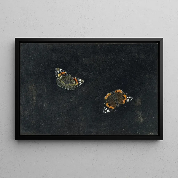 Two butterflies - Giovanna Garzoni — framed artwork on a wall