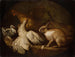 A hen, a pigeon and a rabbit - Giovanni Agostino Cassana — artwork view