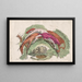 a Man Struggling with a Bull - Giovanni Francesco Costa — framed artwork on a wall