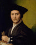 Portrait of a Young Man - Giovanni Francesco Penni — artwork view