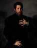 Portrait of a Vigorous Man - Girolamo da Carpi — artwork view