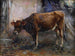 Cow - Giuseppe Pennasilico — artwork view