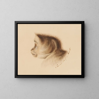 Monkey - Gottfried Mind — framed artwork on a wall
