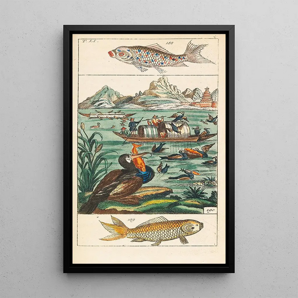 Natural History Painting 27 volumes - Gottlieb Tobias Wilhelm — framed artwork on a wall