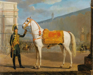 The Napoleon's horse - Gottlob Alexander Sauerweid — artwork view