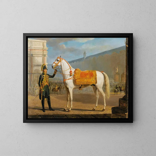 The Napoleon's horse - Gottlob Alexander Sauerweid — framed artwork on a wall