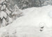 Snow - Gustaf Fjaestad — artwork view