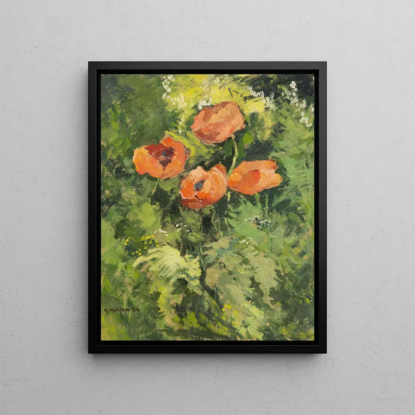 Wild Poppies - Gustav Macoun — framed artwork on a wall