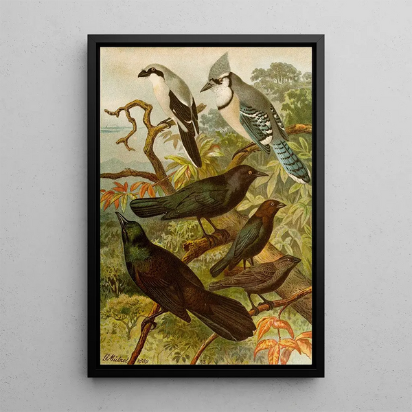 The World of North American Birds pl18 - Gustav Mützel — framed artwork on a wall