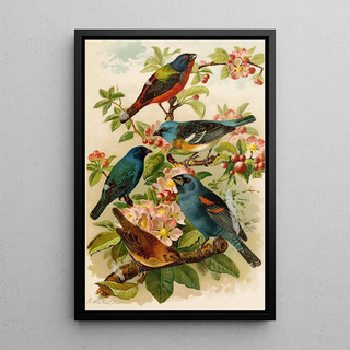 Gustav Mutzel - Die Nordamerikanische Vogelwelt pl28.webp