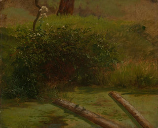 Ciguë de Blhender - Gustav Osterroht — artwork view