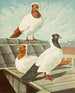 C. vestale - Gustav Prütz — artwork view