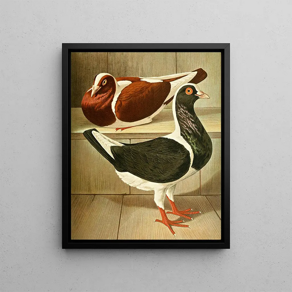 C. austriaca Washington - Gustav Prütz — framed artwork on a wall