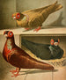 C. Barbare - Gustav Prütz — artwork view