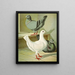 C. brevicauda - Gustav Prütz — framed artwork on a wall