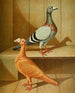 C. grandit - Gustav Prütz — artwork view