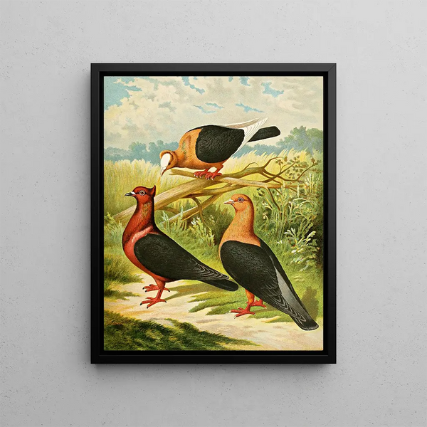 C. Illyrien - Gustav Prütz — framed artwork on a wall