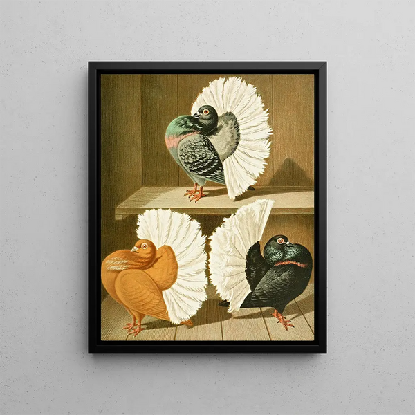 C. laticaudae II - Gustav Prütz — framed artwork on a wall