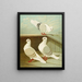 C. turbita - Gustav Prütz — framed artwork on a wall