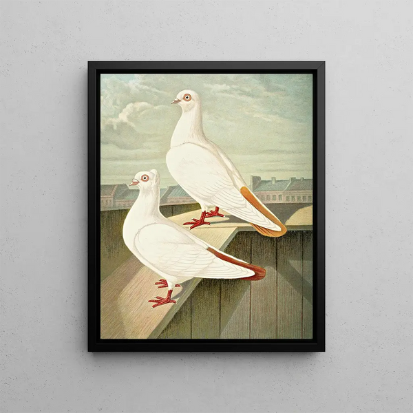 Colorful Tail Tumbler Painting - Gustav Prütz — framed artwork on a wall