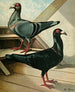 Le pig bagadais chevalier - Gustav Prütz — artwork view