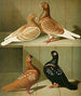 Russian Goblets Painting - Gustav Prütz — artwork view