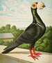 The transporter - Gustav Prütz — artwork view