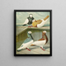 Pie bavarde à tête blanche de Hongrie - Gustav Prütz — framed artwork on a wall