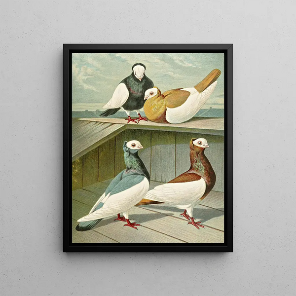 Pie bavarde à tête blanche de Hongrie - Gustav Prütz — framed artwork on a wall