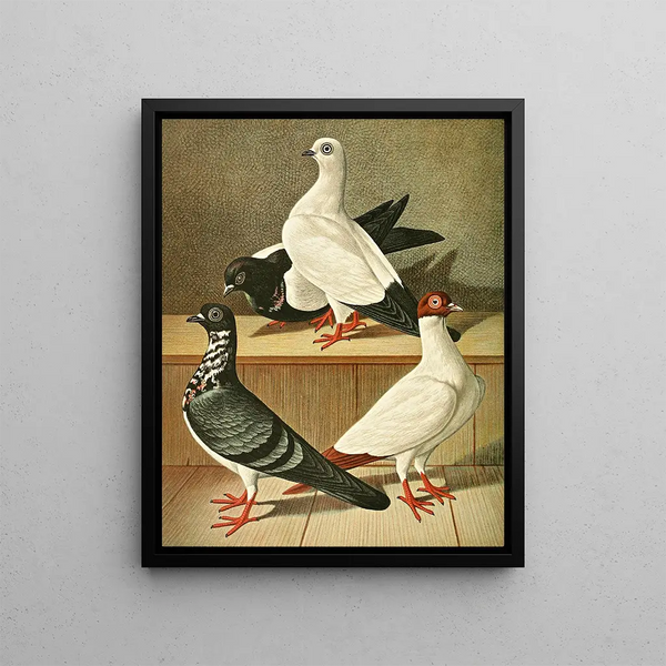 Weiner Tumbler with long beak and flat front - Gustav Prütz — framed artwork on a wall
