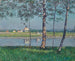 Rive de la Seine à Petit-Gennevilliers - Gustave Caillebotte — artwork view
