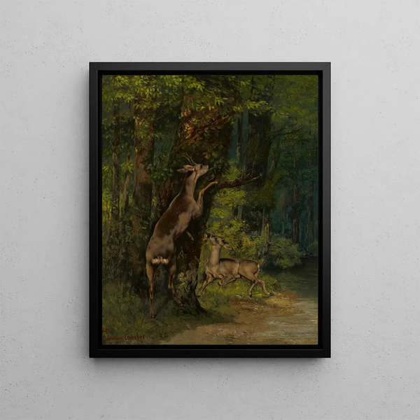 Deer in the Forest - Gustave Courbet — framed artwork on a wall