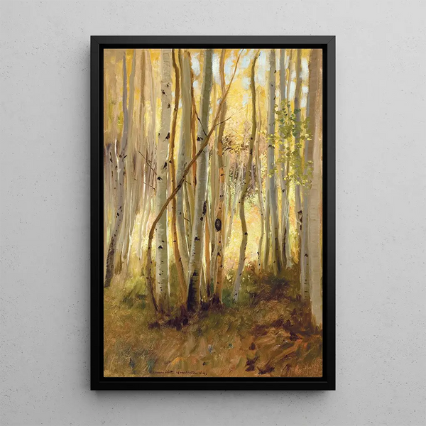 Sunny birch forest - Hamilton Hamilton — framed artwork on a wall