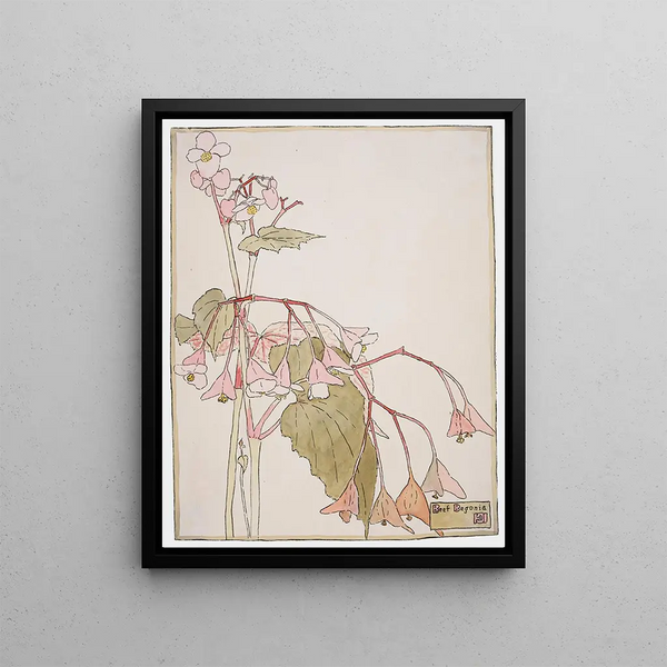 Begonia with ox - Hannah Borger Overbeck — framed artwork on a wall