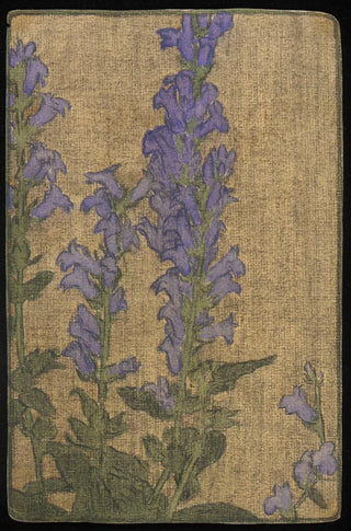 Hannah Borger Overbeck - Delphinium.webp