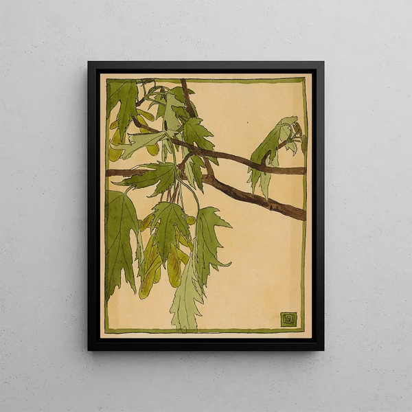 Maple - Hannah Borger Overbeck — framed artwork on a wall