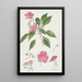 Sultane - Hannah Borger Overbeck — framed artwork on a wall