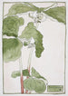 Trille dressé - Hannah Borger Overbeck — artwork view
