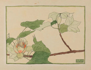 Tulipier - Hannah Borger Overbeck — artwork view