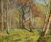 In the Forest of Brn, the Anemones Have Bloomed - Hans Andersen Brendekilde — artwork view
