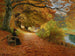 Sentier boisé en automne - Hans Andersen Brendekilde — artwork view