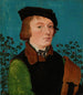 Portrait of a man in front of a rose bush hedge - Hans Baldung — artwork view
