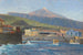 View from the sea on Pozo de Martianez Puerto Orotava Tenerife - Hans Bohrdt — artwork view