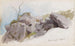 Cliffs on the Slope Raumnzach - Hans Gude — artwork view